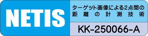 NETIS KK-250066-A